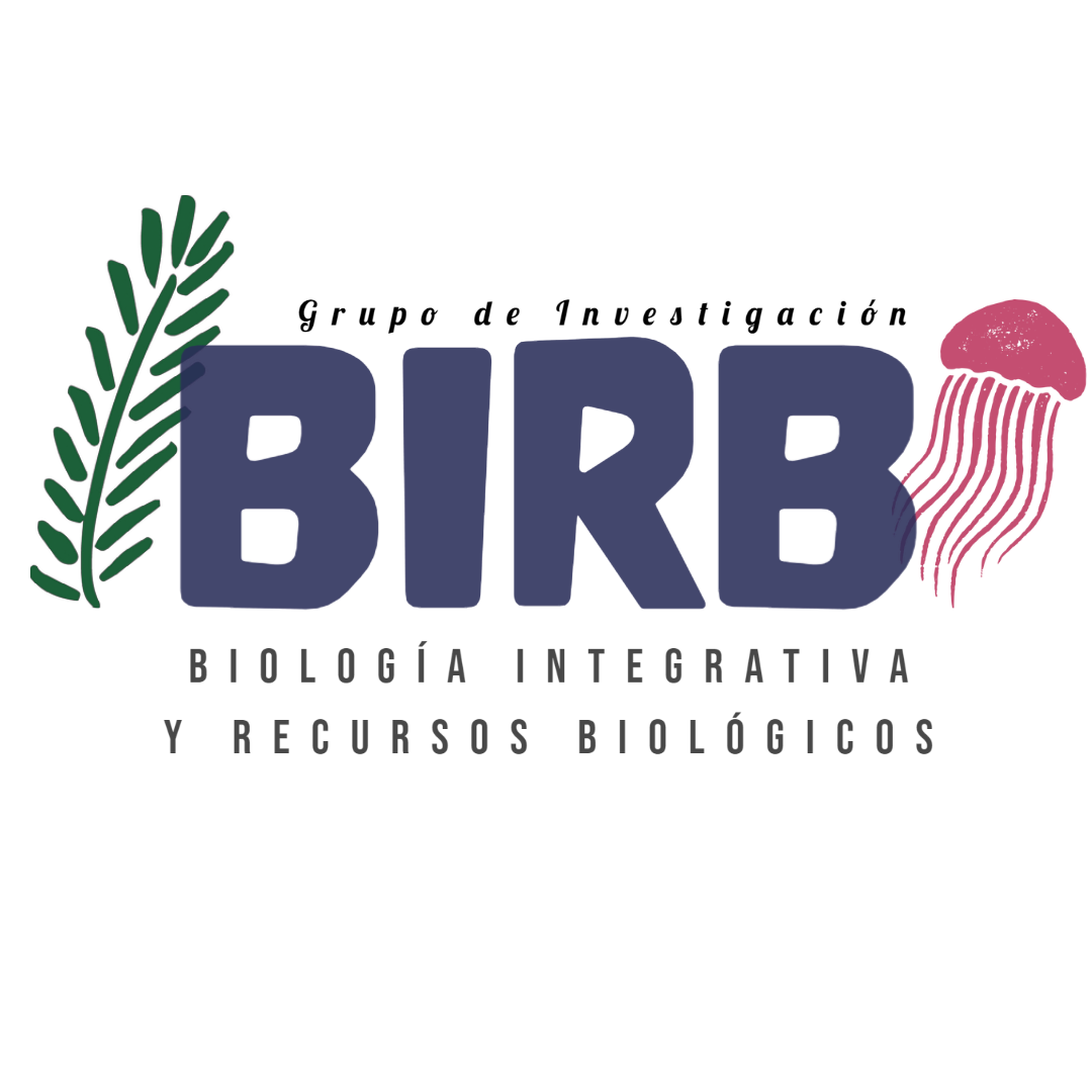 Logo BIRB